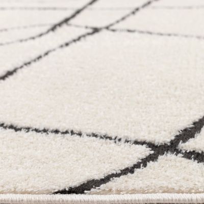 Imagen 2 del producto Alfombra Orly 200X290 B8522A