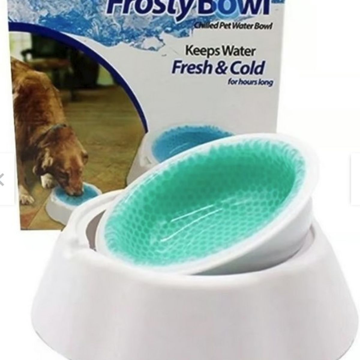 GENERICO - Plato Bebedero Agua Fresca Mascotas Perro Color Blanco Verde