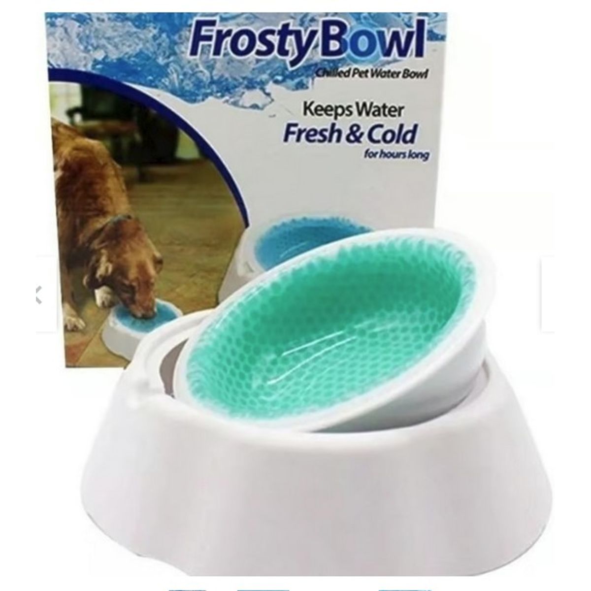 GENERICO - Plato Bebedero Agua Fresca Mascotas Perro Color Blanco Verde