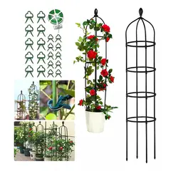 MUNDO MAGIA - Soporte Tutor Plantas Trepadoras Enredaderas Rosales