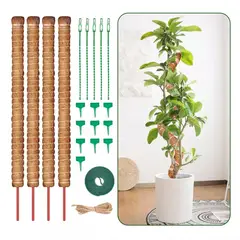 MUNDO MAGIA - 21 Kits Tutor De Musgo Soporte Para Plantas 100cm/fibra Coco