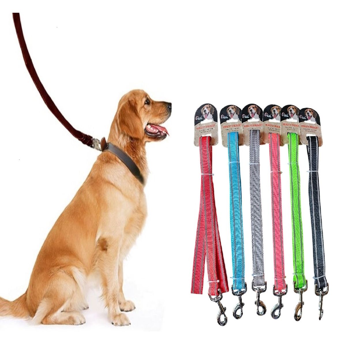 GENERICO - Correa Paseo Mascota Perros Reflectante 120 Cm Color Celeste