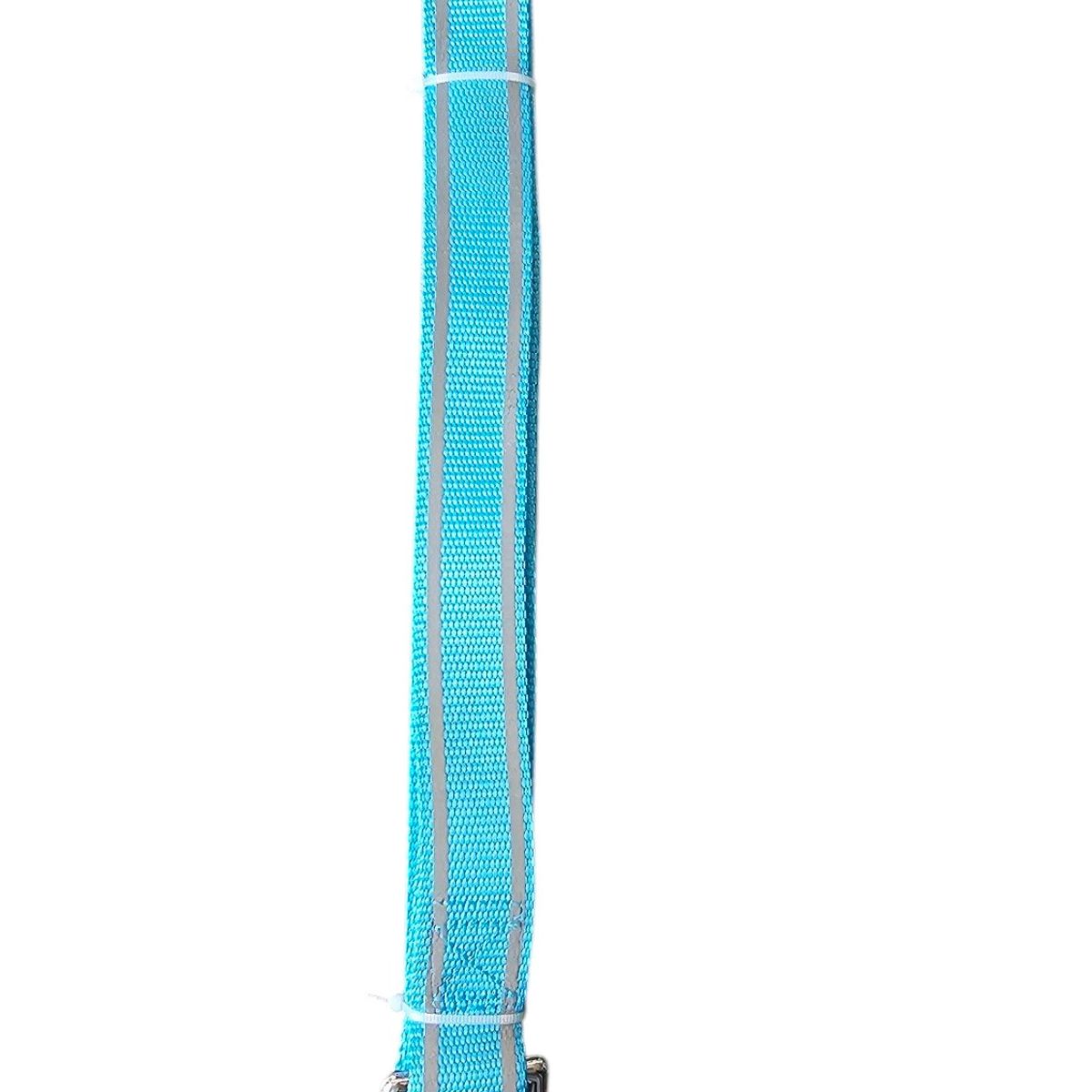GENERICO - Correa Paseo Mascota Perros Reflectante 120 Cm Color Celeste