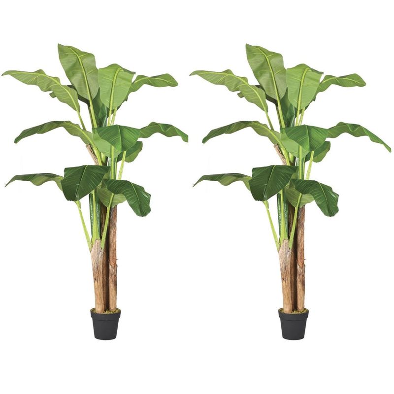 ARBUSTO REAL - 2X1 Plantas Artificiales Premium Banano 180 Cm Arbusto Real