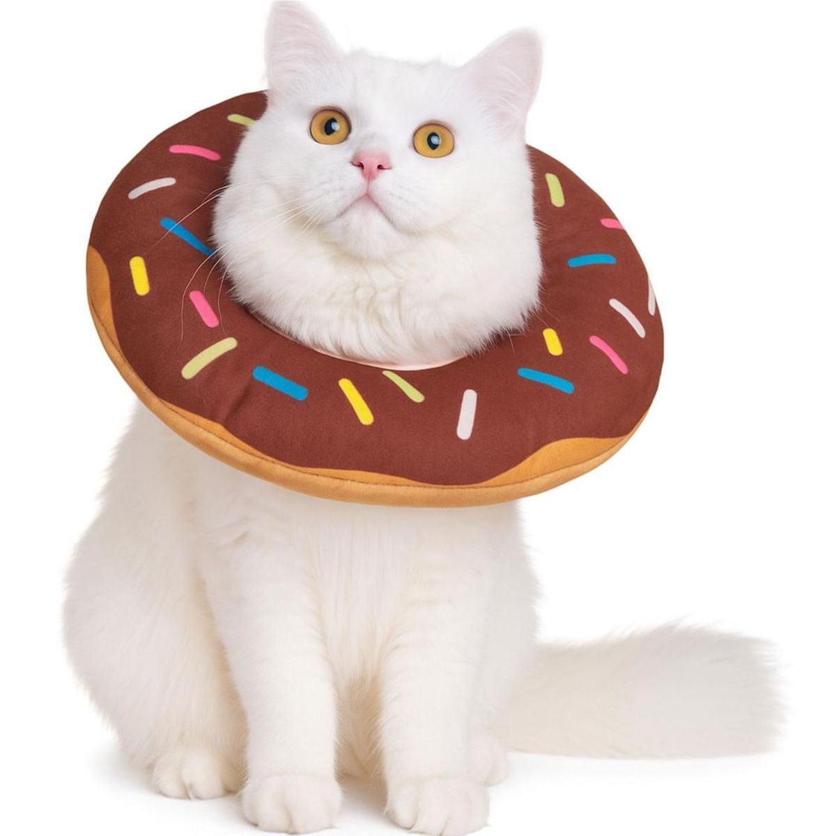 GENERICO - Collar Dona Para Mascotas Anti-lamido Talla S - Cafe - S