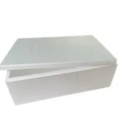 GENERICO - CAJA PLUMAVIT 10 LITROS