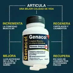 NEWSCIENCE - Colágeno Genacol 90 Cáps.