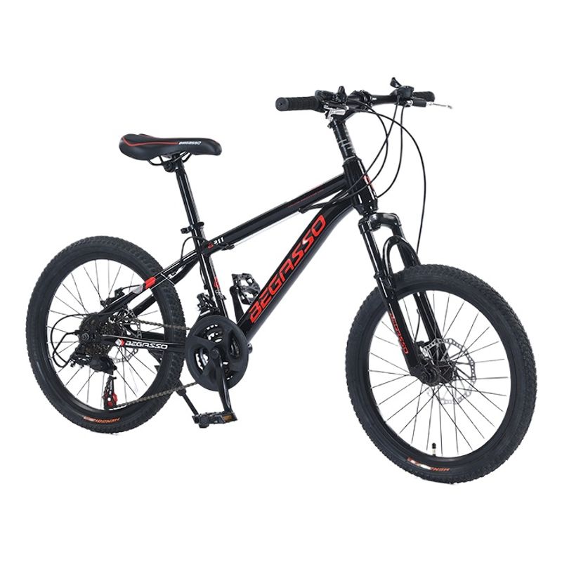 EASY FIT - Bicicleta Montaña Exteriores para Niños de 20 Pulgadas