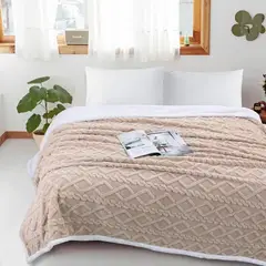 ANGELES DEL HOGAR - FRAZADAS CON CHIPORRO PLAZA Y MEDIA BEIGE