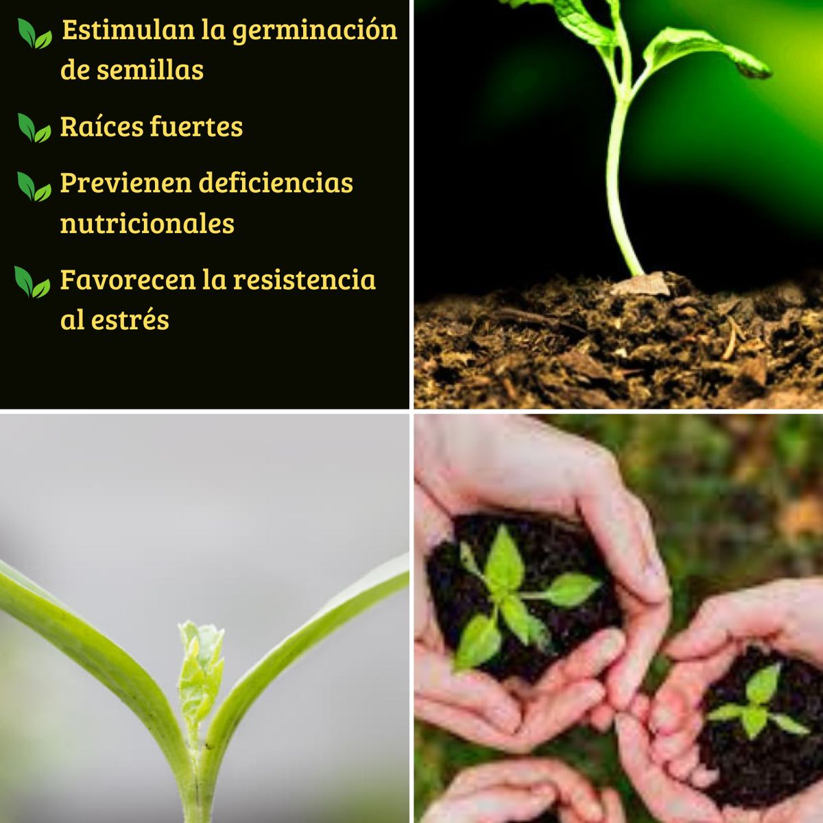 MOHICAN - FERTILIZANTE PARA GERMINACIÓN EN GENERAL BOLSA 1 KG MOHICAN