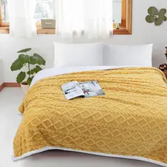 GENERICO - Frazada Sherpa Polar - Manta termica 2 plazas Ropa de cama
