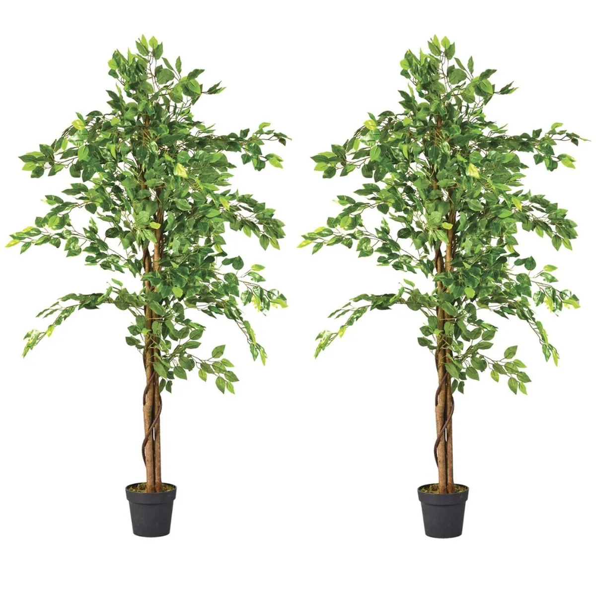 ARBUSTO REAL - 2 X 1 Plantas Artificiales Premium Ficus 160 Cm