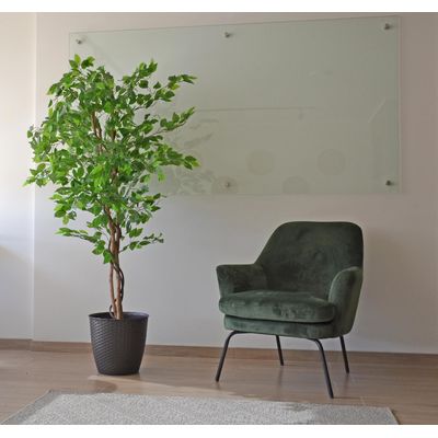 Imagen 2 del producto 2 X 1 Plantas Artificiales Premium Ficus 160 Cm