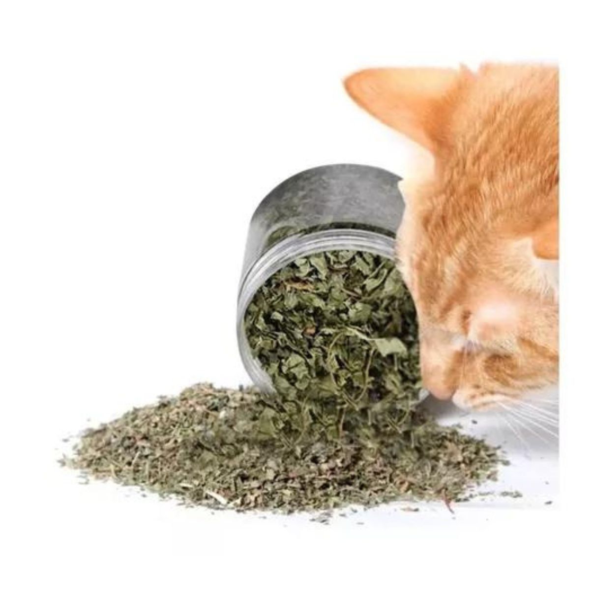GENERICO - Hierba Gatera Catnip en Hojas Secas Para Gatos 50g