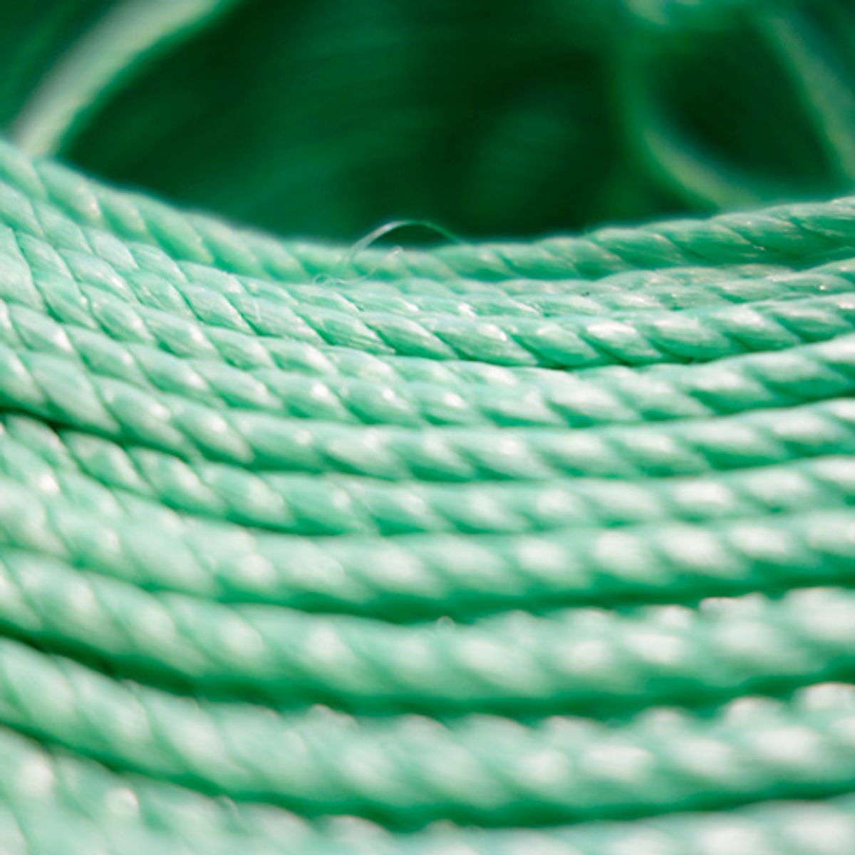 MARIENBERG - Cuerda Rafia Standard de 3 mm color Verde