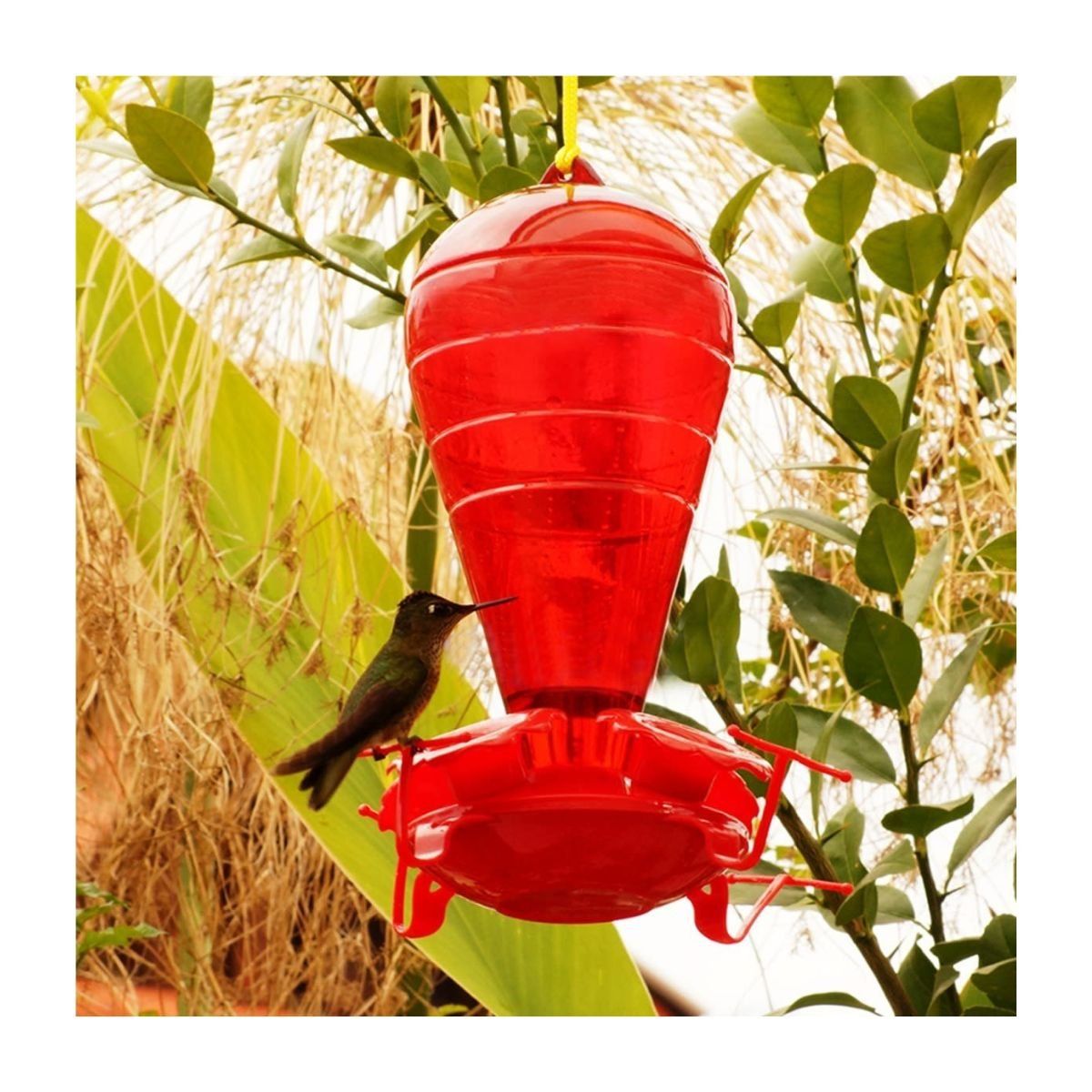 GENERICO - Bebedero Para Colibrí 1L Rojo Pica Flor Colibríes Aves