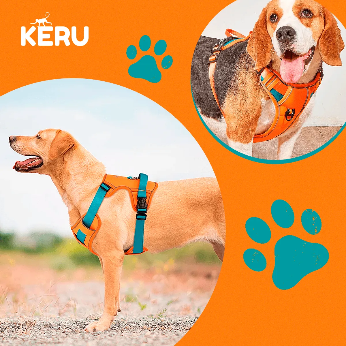 LERNEN - Arnes Reflectante Anti Tirones Naranjo Talla S