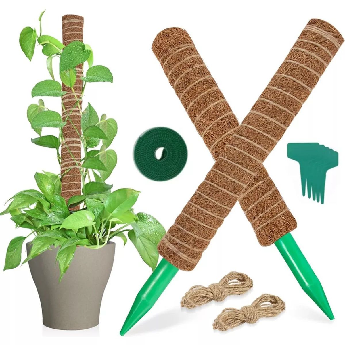 KUANGYE - Juego De 9 Tutor De Musgo Para Plantas 43 Cm / Moss Pole