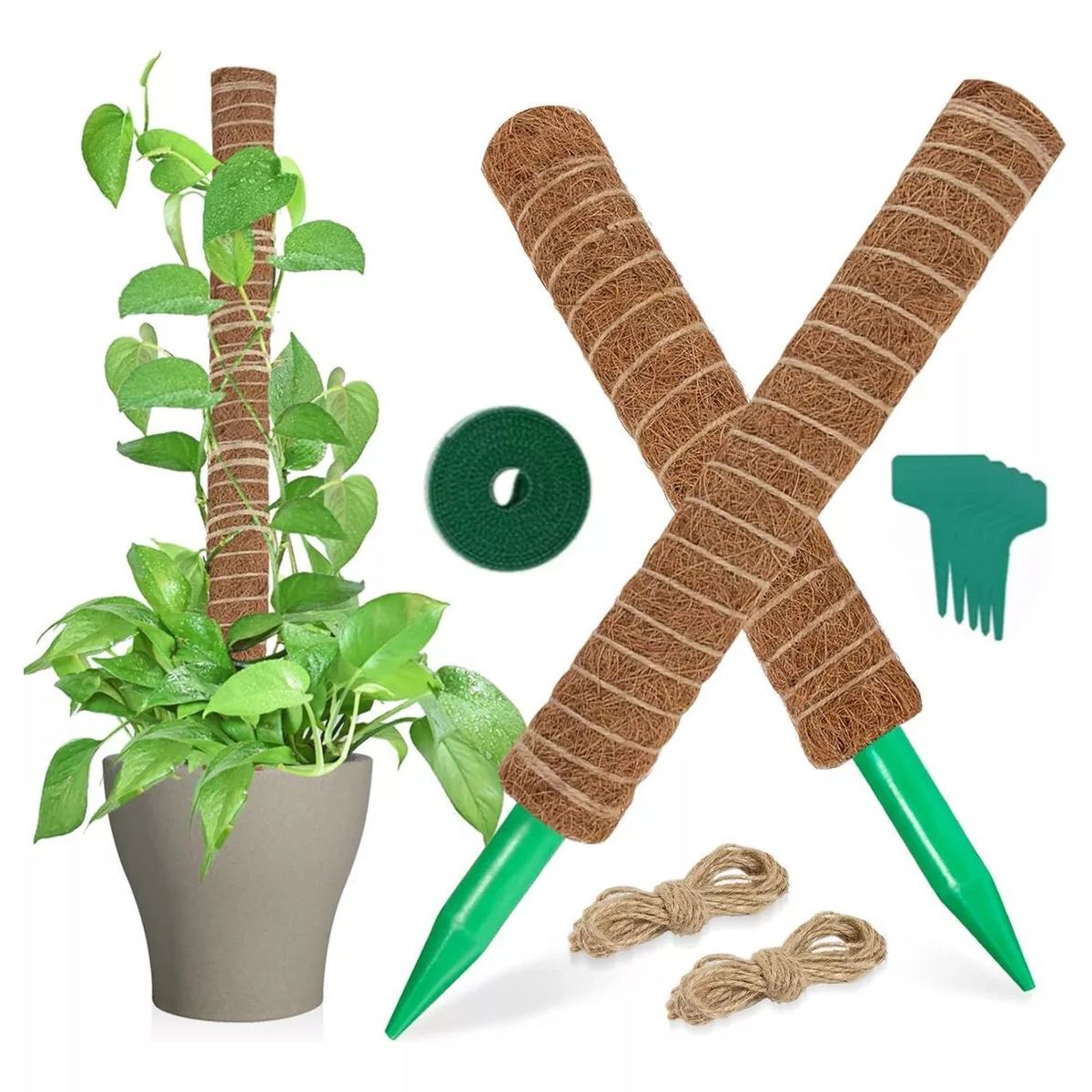 KUANGYE - Juego De 9 Tutor De Musgo Para Plantas 43 Cm / Moss Pole