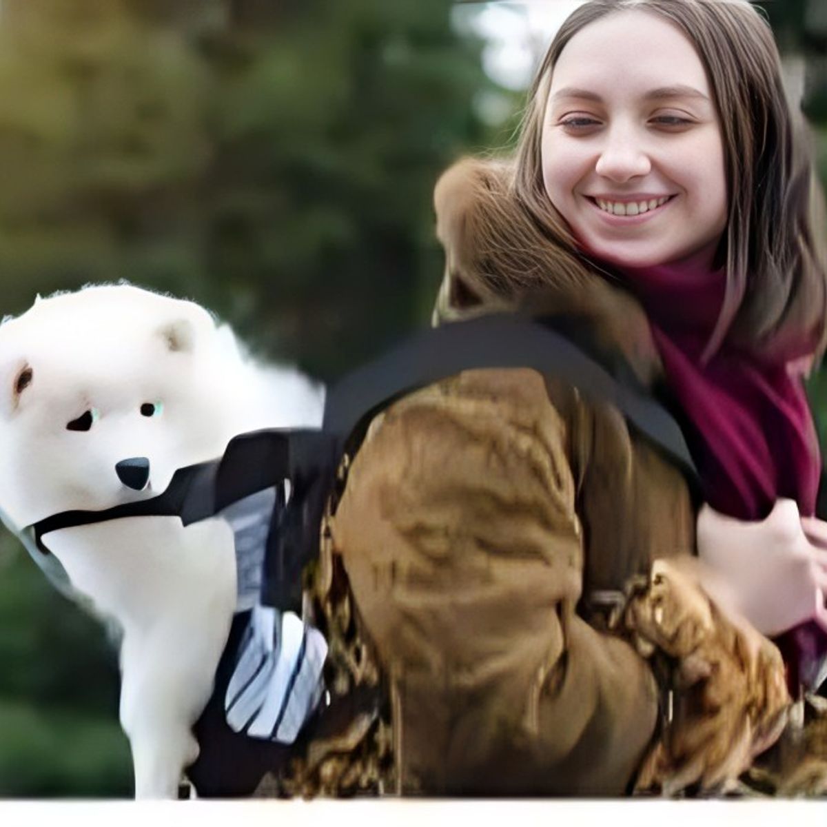OEM - Set de 3 Bolsos Transportín para Mascotas