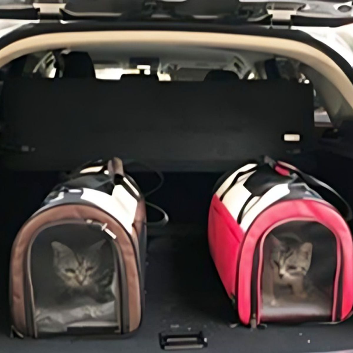 OEM - Bolso Transportín para Mascotas Blanco