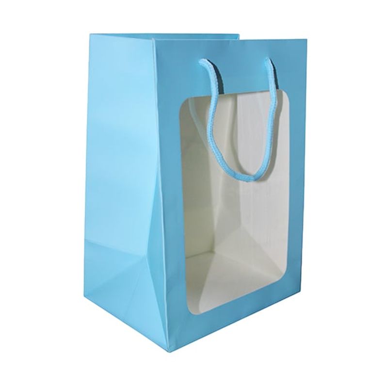 GENERICO - BOLSA DE REGALO VENTANA 30X20X16 CM CELESTE X12 UNI