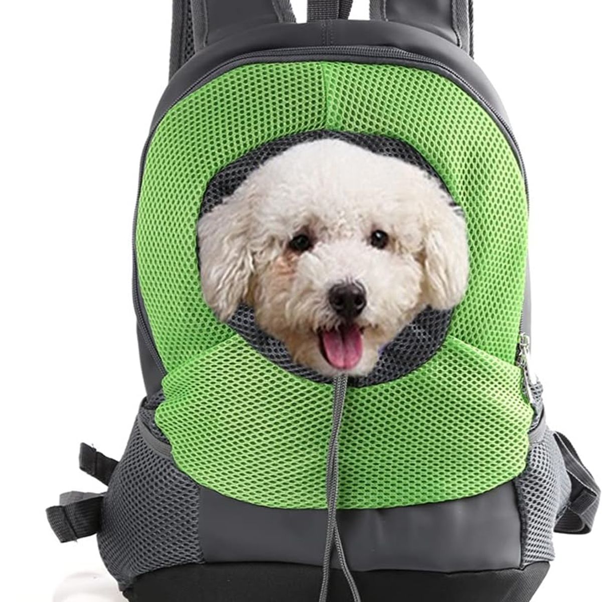 DEFENSOR FOREVER - Mochila Transportadora Para Mascotas Perros Gatos Verde