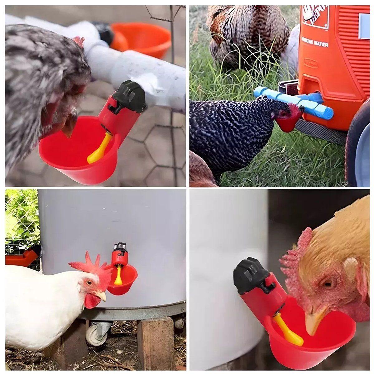 KUANGYE - Automatico Bebedero Pollos Pajaros Gallinas Aves 24pcs