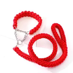 DEFENSOR FOREVER - Correa Trenzada Para Perros Grandes + Collar De Ahorque XL
