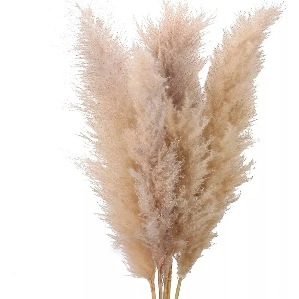 KUANGYE - 5 Piezas Rama De Pampas Grass Vara Grande Decoracion Pack 5