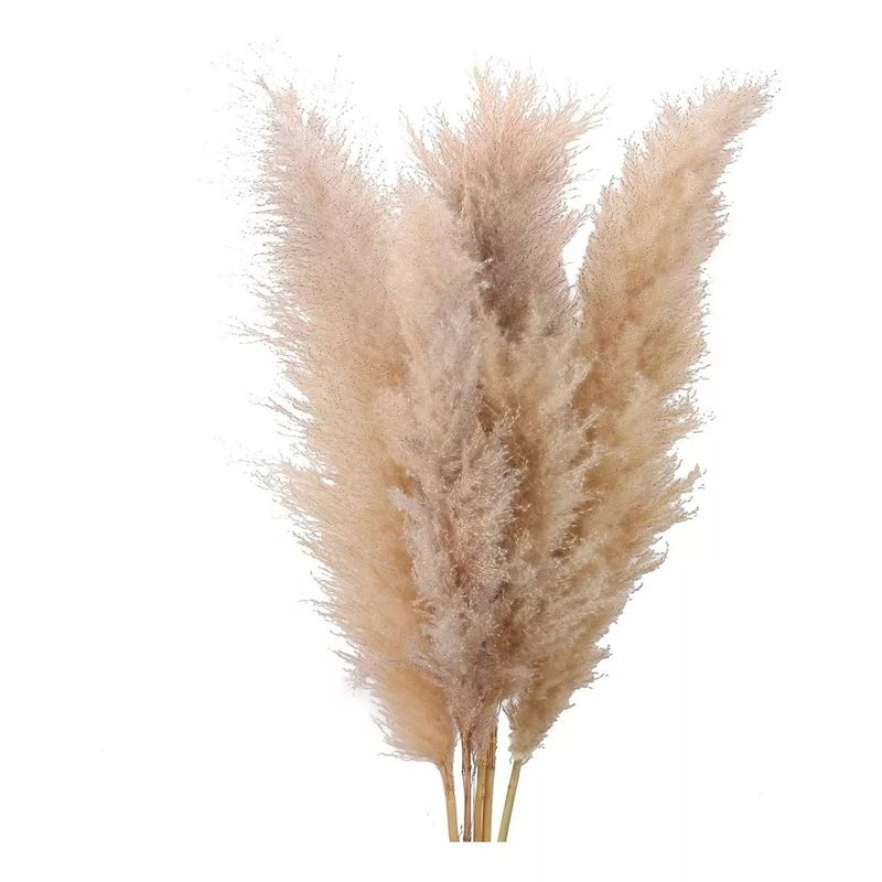 KUANGYE - 5 Piezas Rama De Pampas Grass Vara Grande Decoracion Pack 5
