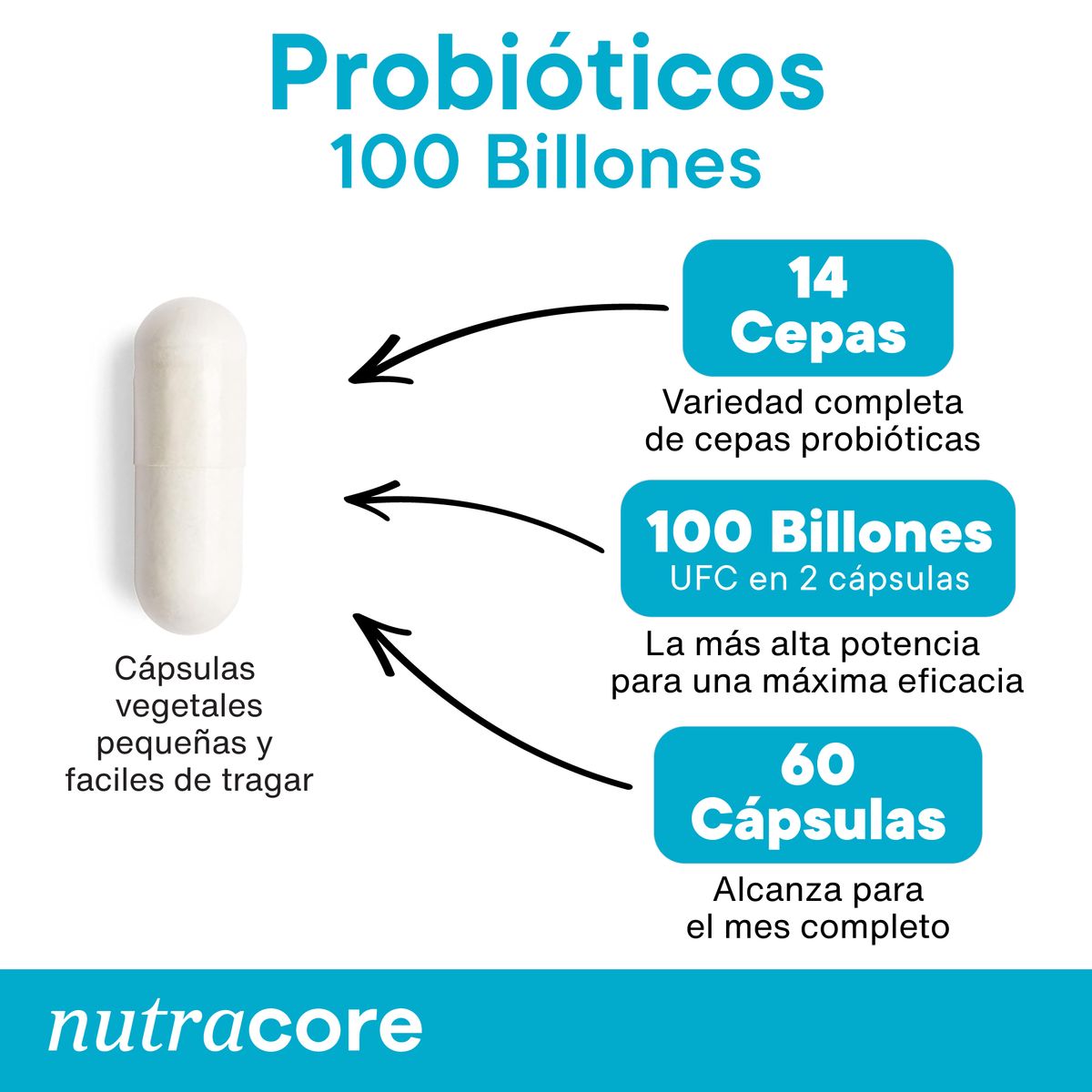 NUTRACORE - Probióticos 100 Billones 14 Cepas - 60 Cápsulas vegetales - NutraCore