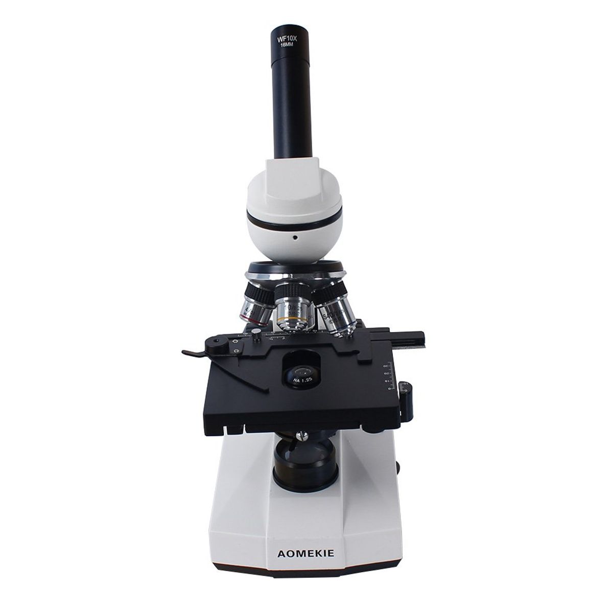 GENERICO - Microscopio Profesional BM-104M