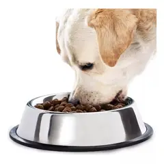 GENERICO - Tazón Comida Agua Acero Inox Mascota Perro Gato 20 Cm