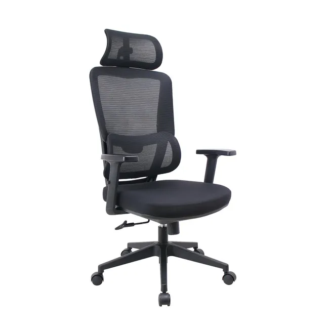 LEVO - Silla para Oficina de Escritorio Ergonomica LEVO