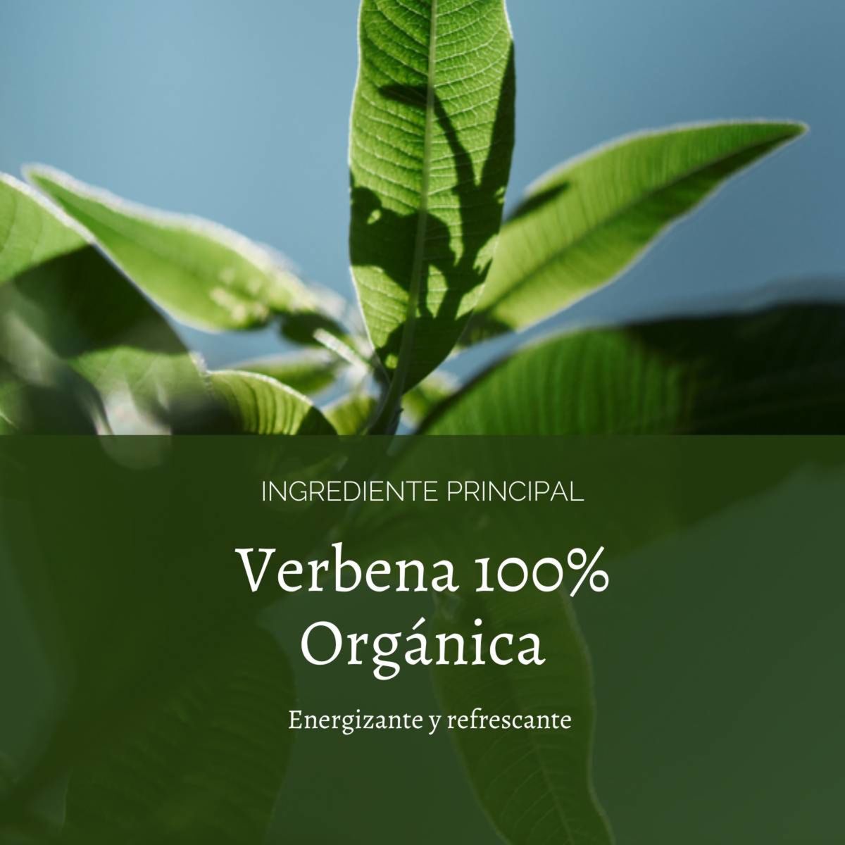 LOCCITANE - Crema De Manos Verbena 75 ml LOCCITANE