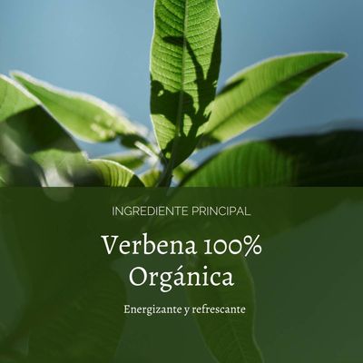 Imagen 2 del producto Crema De Manos Verbena 75 ml