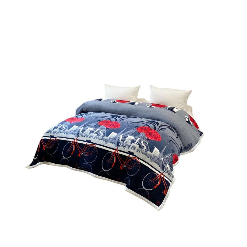 GENERICO - Frazadas Con Chiporro Polar Diseños Estampados 2 Plazas 230x210cm
