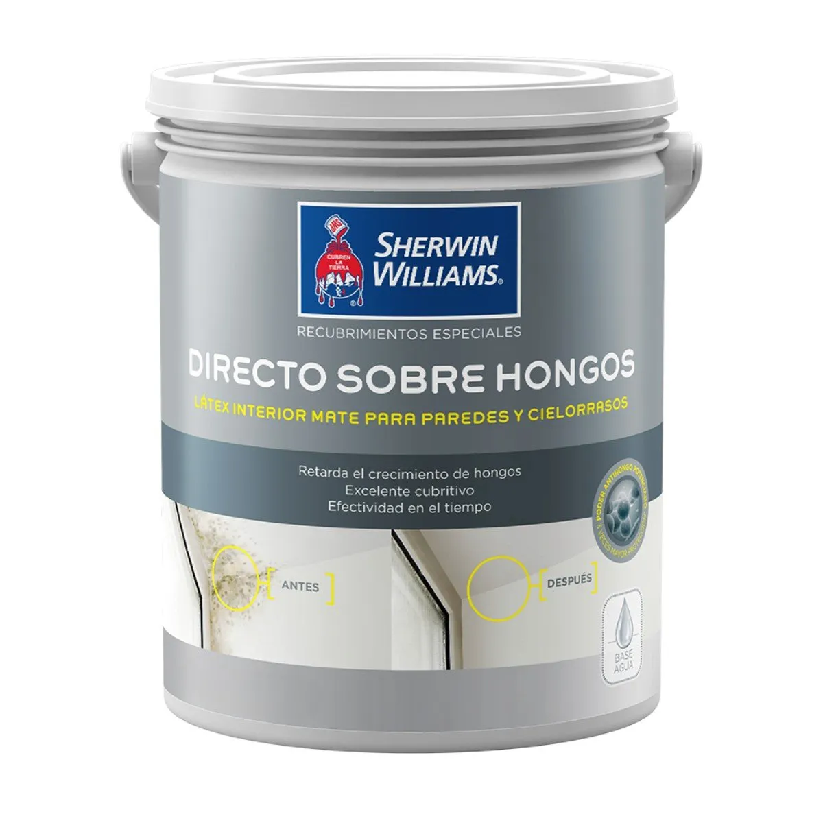 SHERWIN WILLIAMS - Esmalte al Agua Sherwin Williams Directo sobre Hongos 900ml