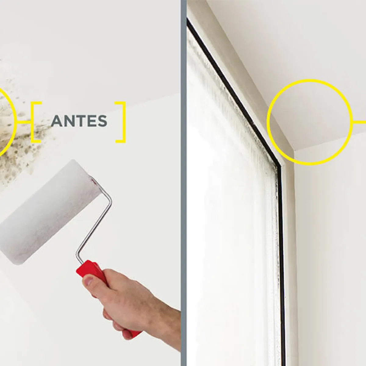 SHERWIN WILLIAMS - Esmalte al Agua Sherwin Williams Directo sobre Hongos 900ml