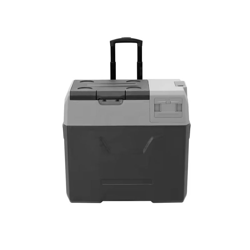 ALPICOOL - REFRIGERADORFREEZER ALPICOOL ECX30 BATERÍA INCLUIDA