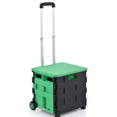 GENERICO - Carrito Plegable de Mercado Verde