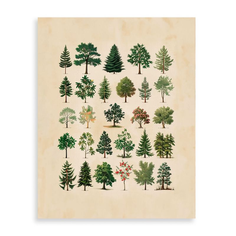 GENERICO - Cuadro decorativo de Arboles variados 50x40 cm