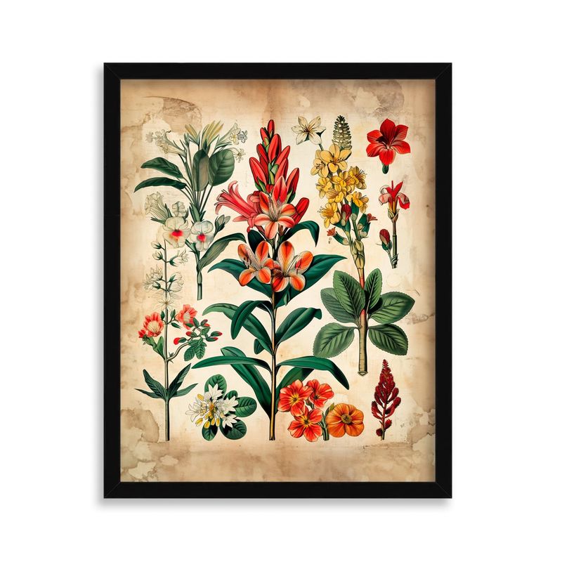 GENERICO - Cuadro decorativo de Flores Tropicales 50x40 cm