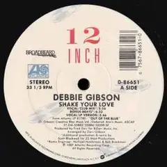 GENERICO - Debbie Gibson Shake Your Love VG+ Default Title