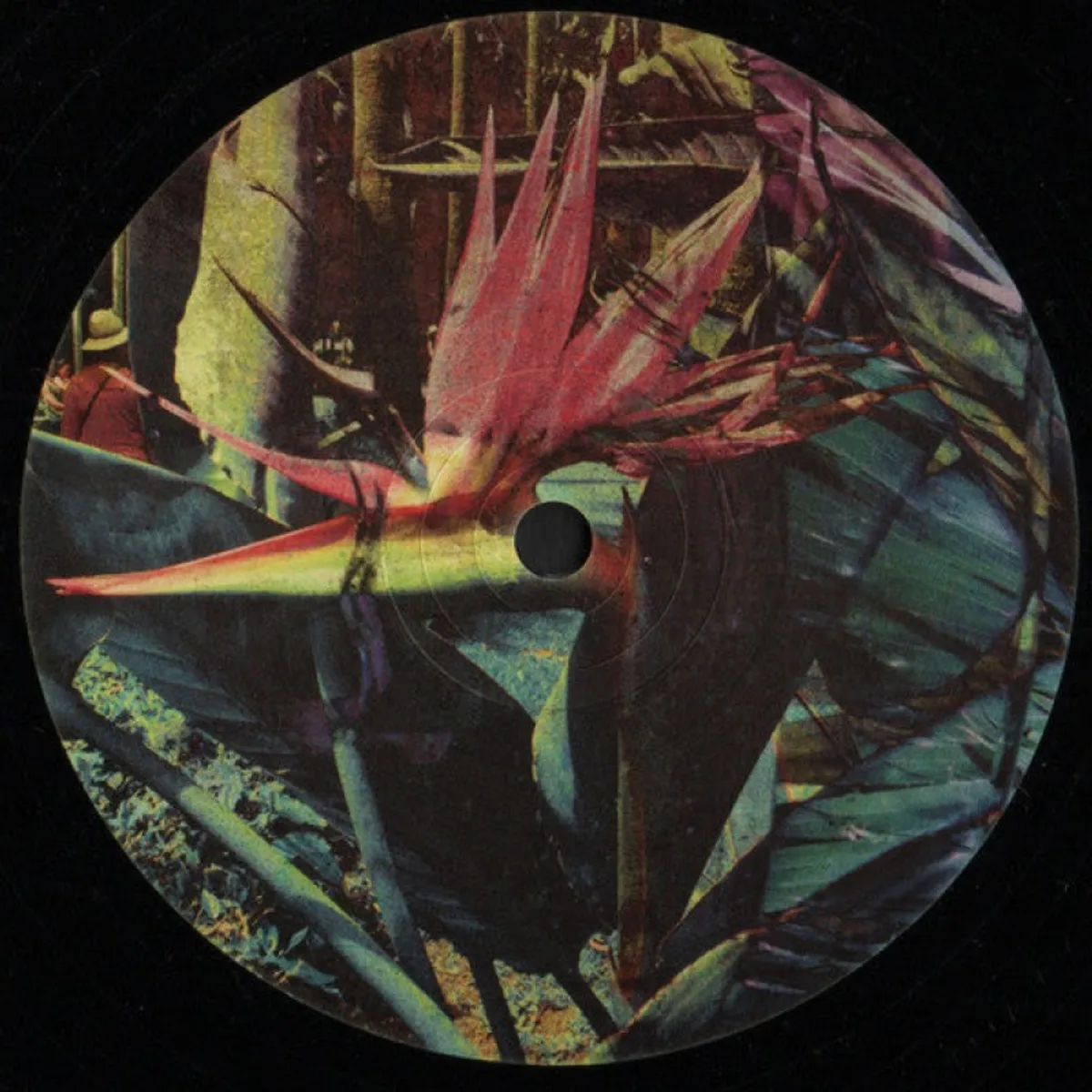 GENERICO - Various  PLWHT003 Nuevo Default Title