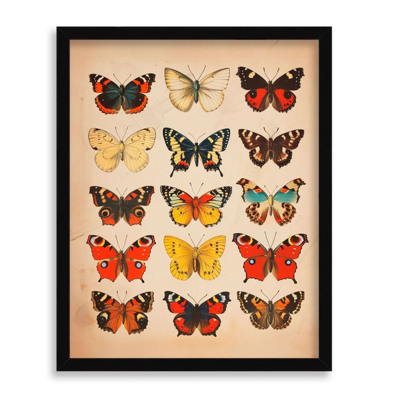 GENERICO - Cuadro Decorativo de Mariposas 50x40 cm