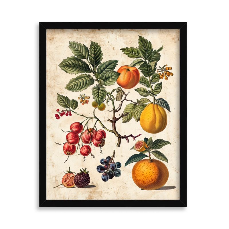 GENERICO - Cuadro Decorativo de Frutas Clásicas 50x40 cm