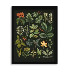 GENERICO - Cuadro Decorativo Botanico fondo negro 50x40 cm