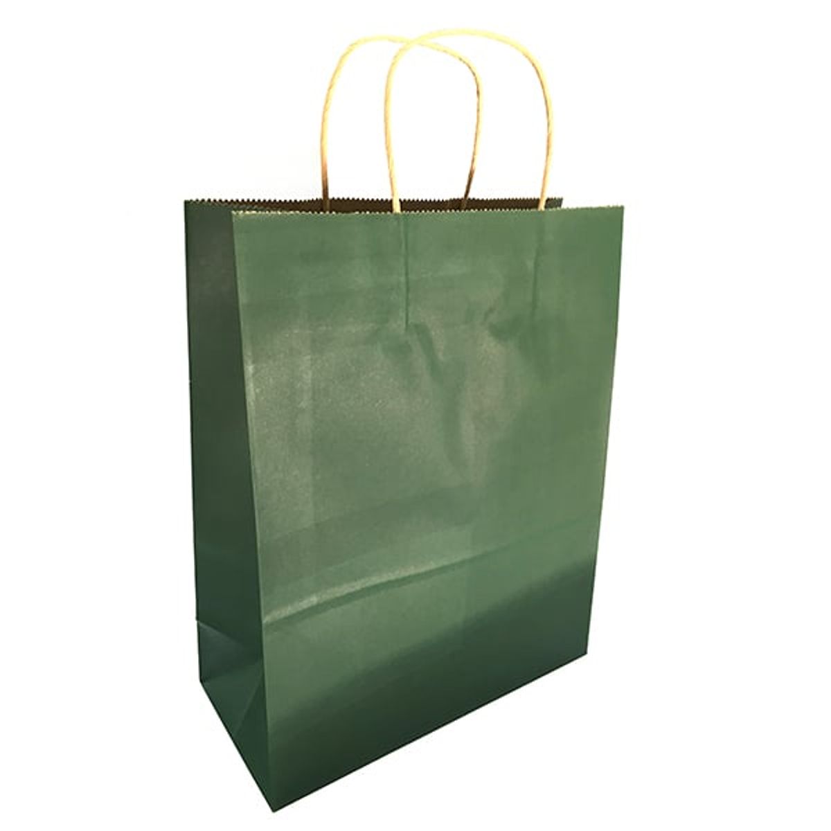 GENERICO - BOLSA REGALO KRAFT VERDE 25X23X12 X12 UNI